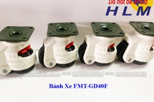 Bánh xe đẩy Foot Castor